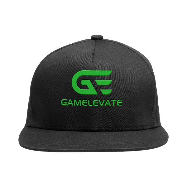 Gamelevate Embroidered Snapback
