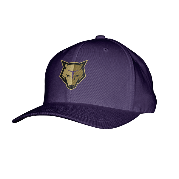 New England Storm Wolves Flexfit Hat