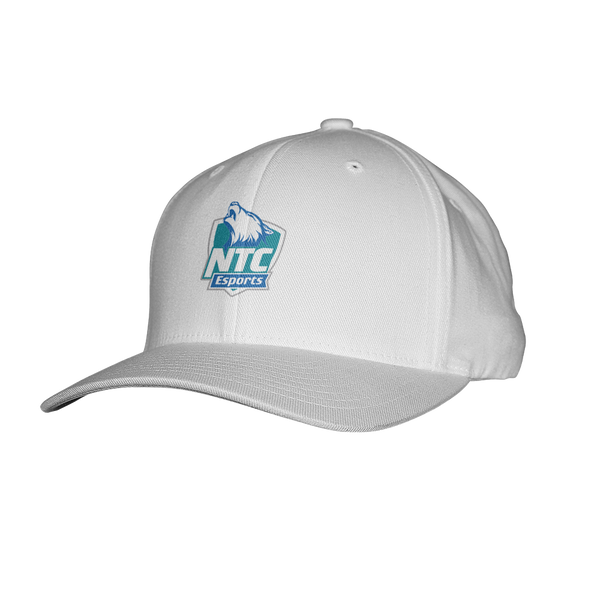 NTC Timberwolves Flexfit Hat