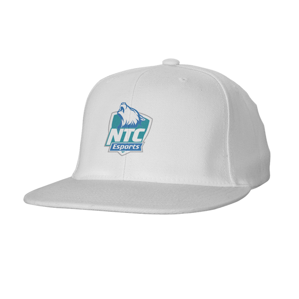 NTC Timberwolves Snapback Hat