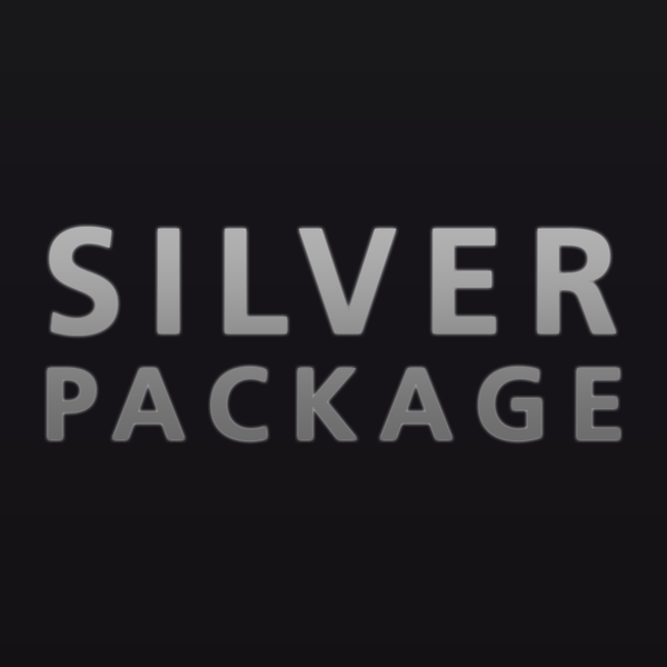 Silver Digital Store Bundle