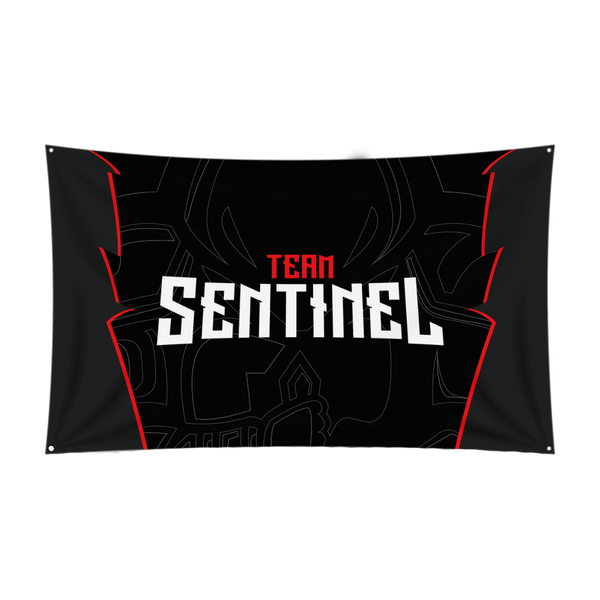 Team Sentinel Flag
