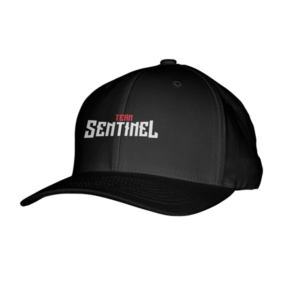 Team Sentinel Flexfit Hat