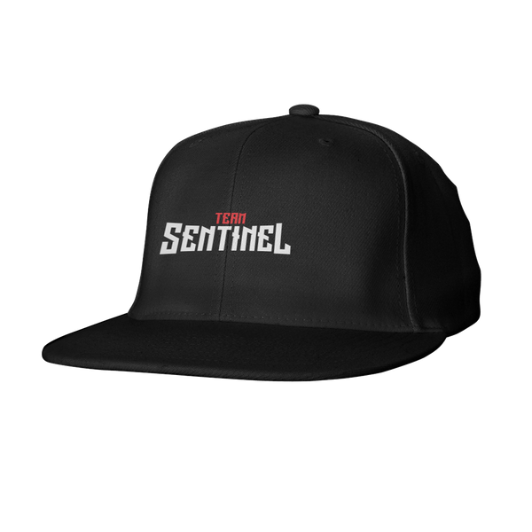 Team Sentinel Snapback