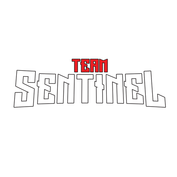 Team Sentinel Sticker